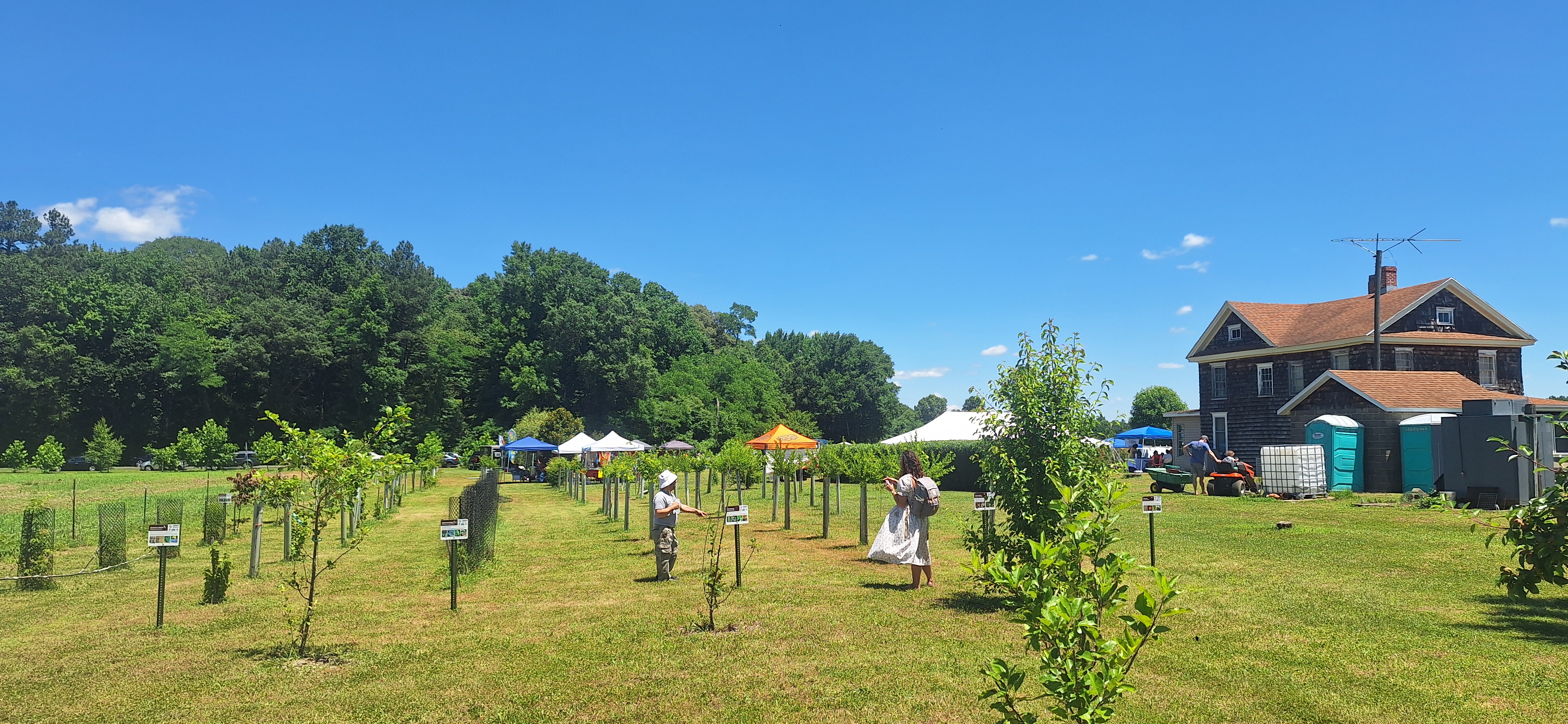 Community garden